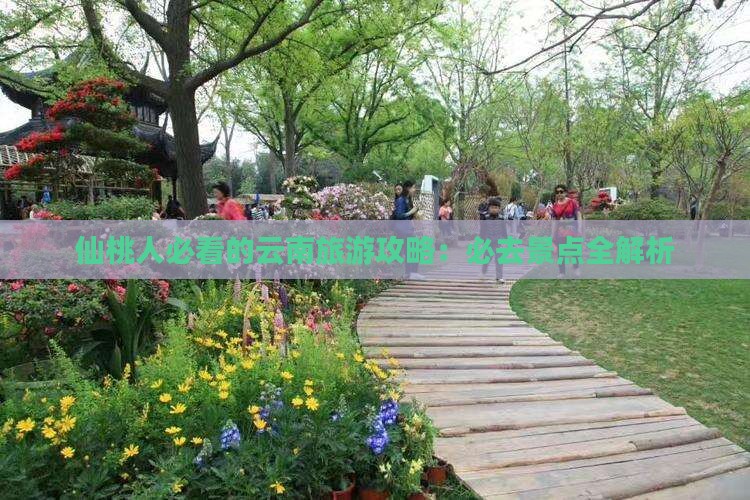 仙桃去云南古城必去地