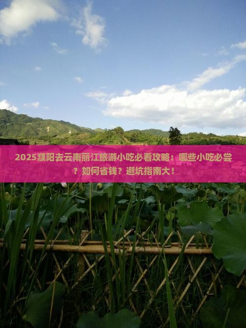 濮阳去云南丽江旅游小吃