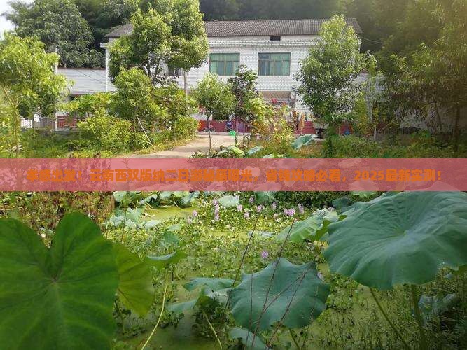 孝感去云南西双版纳二日游