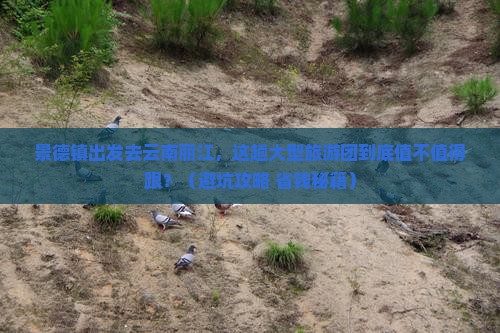 景德镇去云南丽江大型旅游团