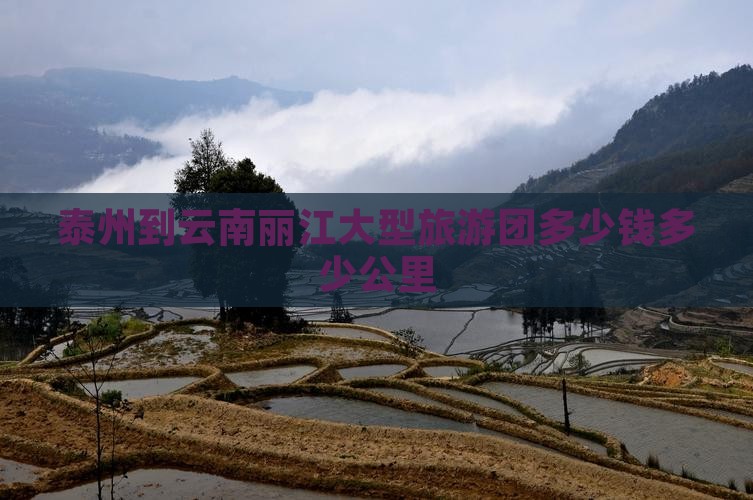 泰州到云南丽江大型旅游团