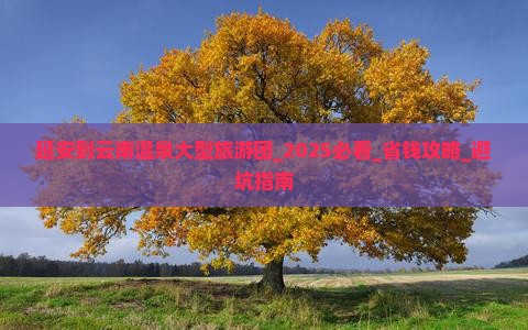 延安到云南温泉大型旅游团