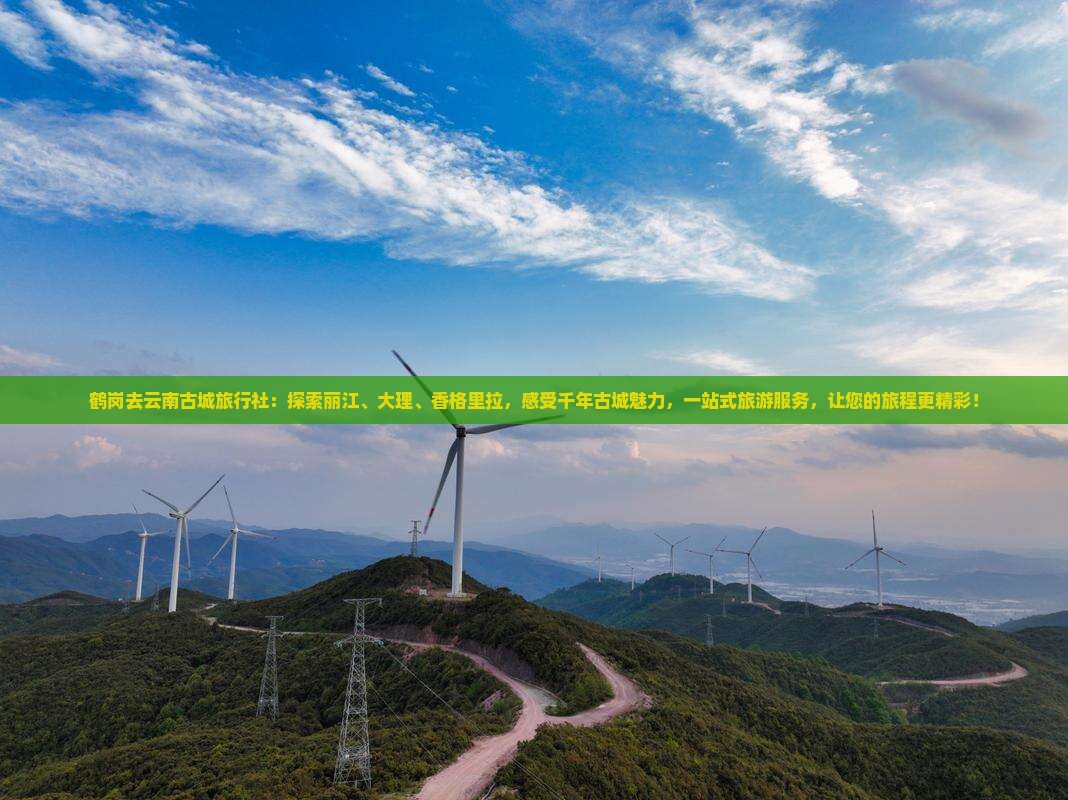 鹤岗去云南古城旅行社