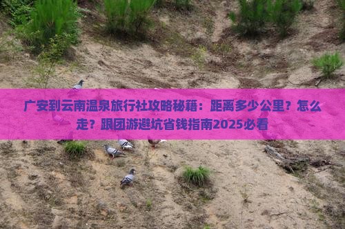 广安到云南温泉旅行社