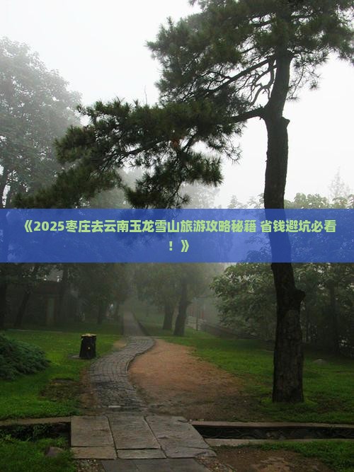 枣庄去云南玉龙雪山旅游