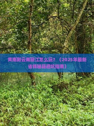 黄南到云南丽江攻略