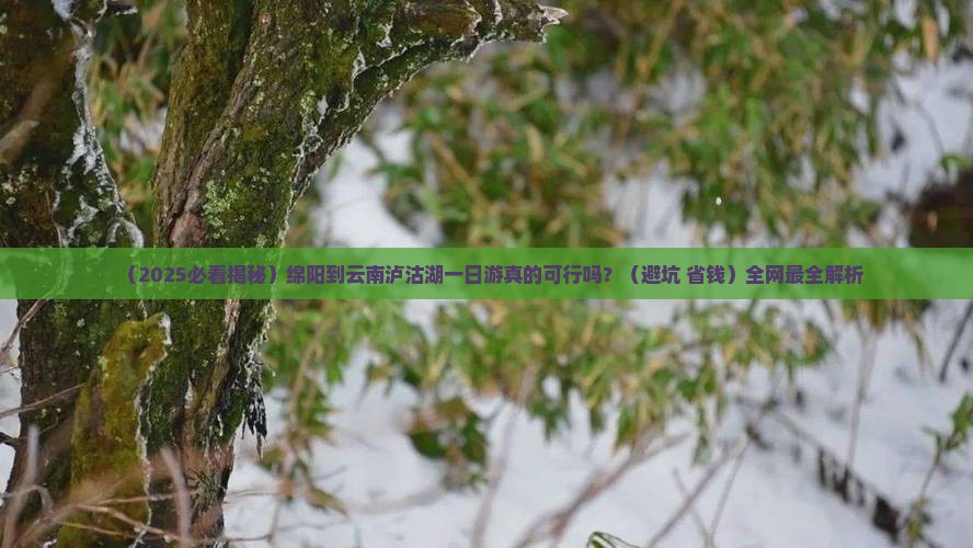 绵阳去云南泸沽湖一日 绵阳去云南泸沽湖一日