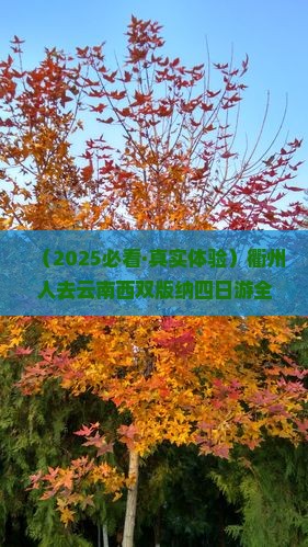 衢州去云南西双版纳四日游