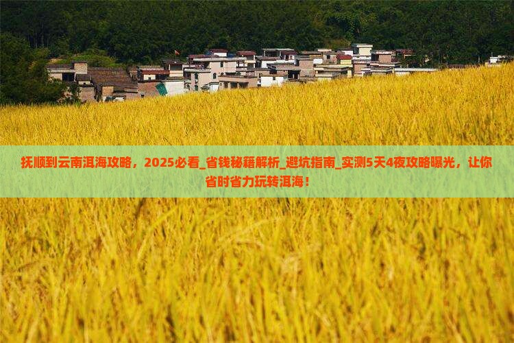 抚顺到云南洱海攻略