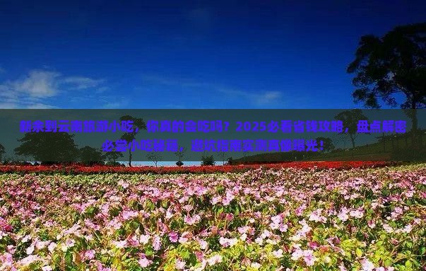 新余到云南旅游小吃 新余到云南旅游小吃