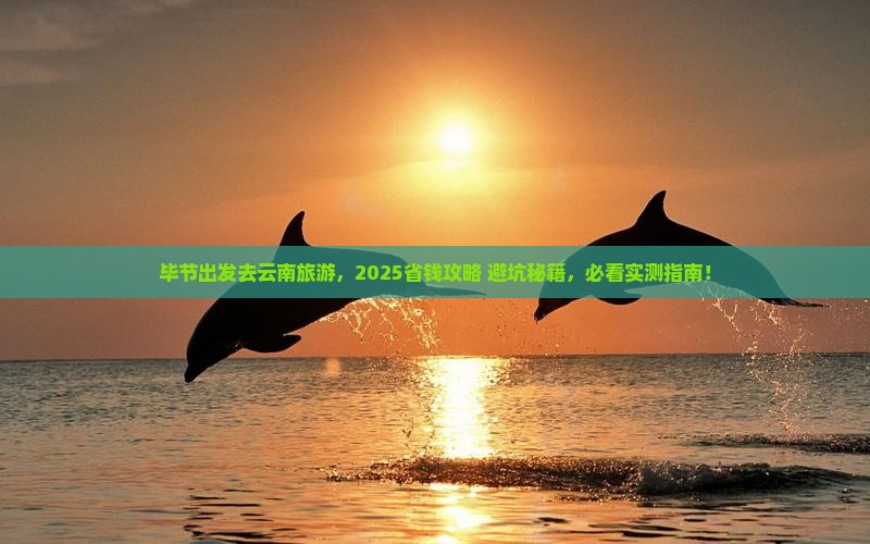 毕节去云南门票