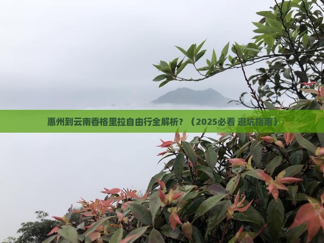 惠州到云南香格里拉自由行