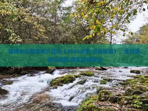 淄博去云南温泉六日游