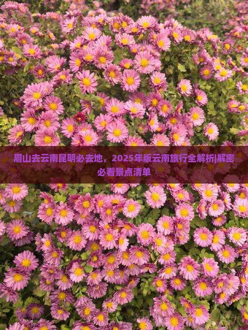 眉山去云南昆明必去地