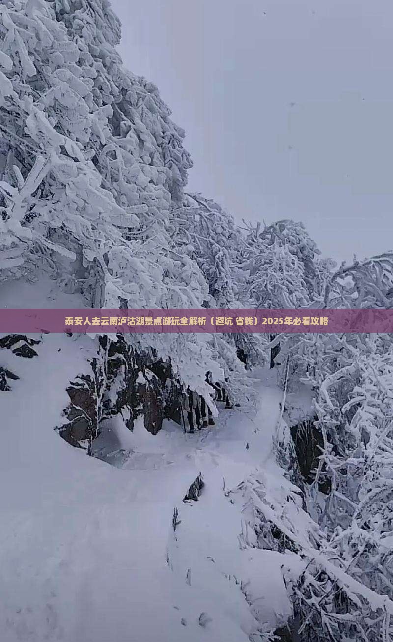 泰安去云南泸沽湖景点