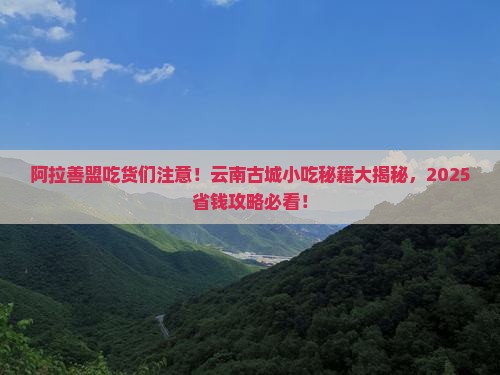 阿拉善盟去云南古城旅游小吃
