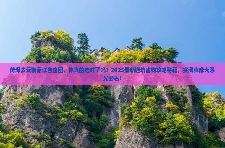菏泽去云南丽江自由团