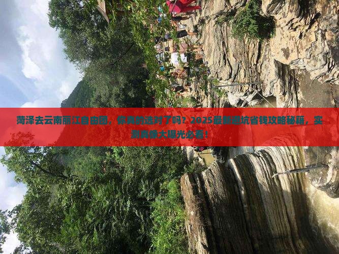 菏泽去云南丽江自由团