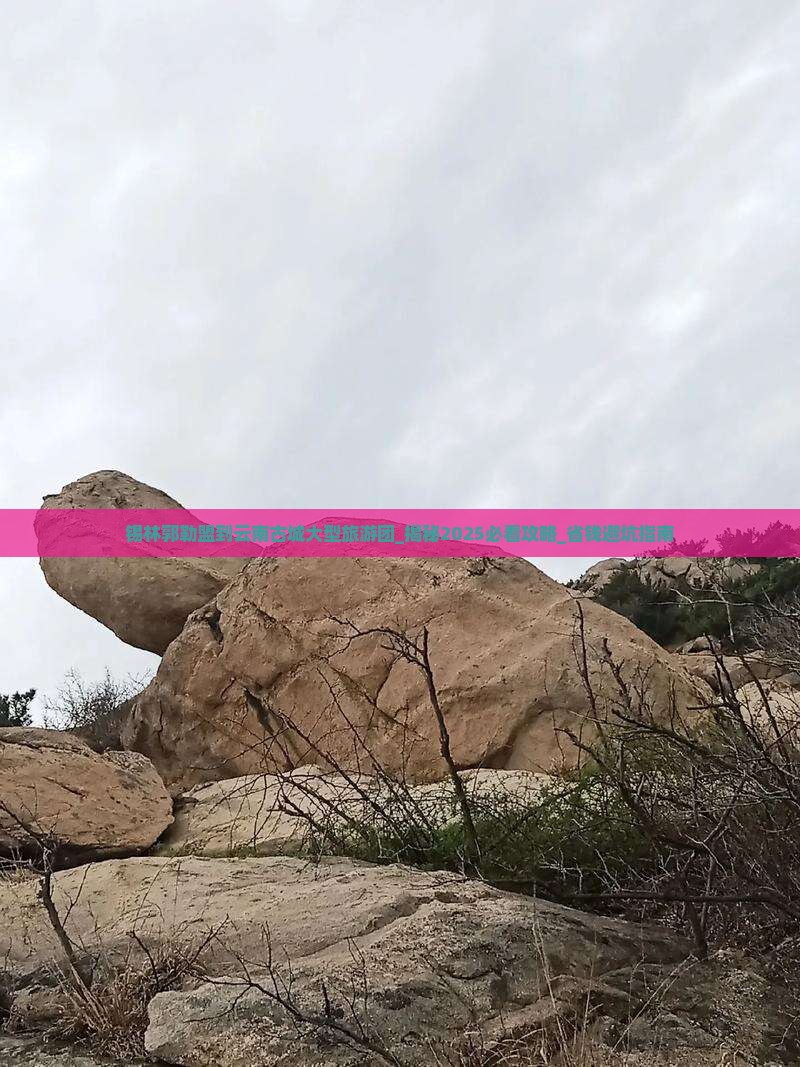 锡林郭勒盟到云南古城大型旅游团