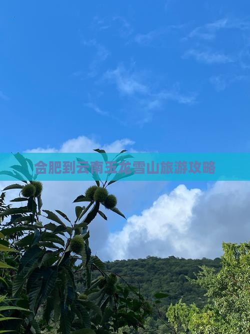 合肥到云南玉龙雪山门票