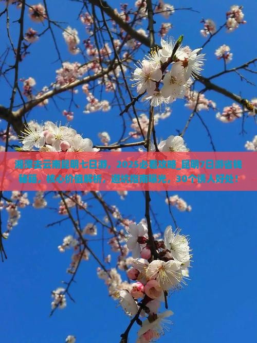 湘潭去云南昆明七日游