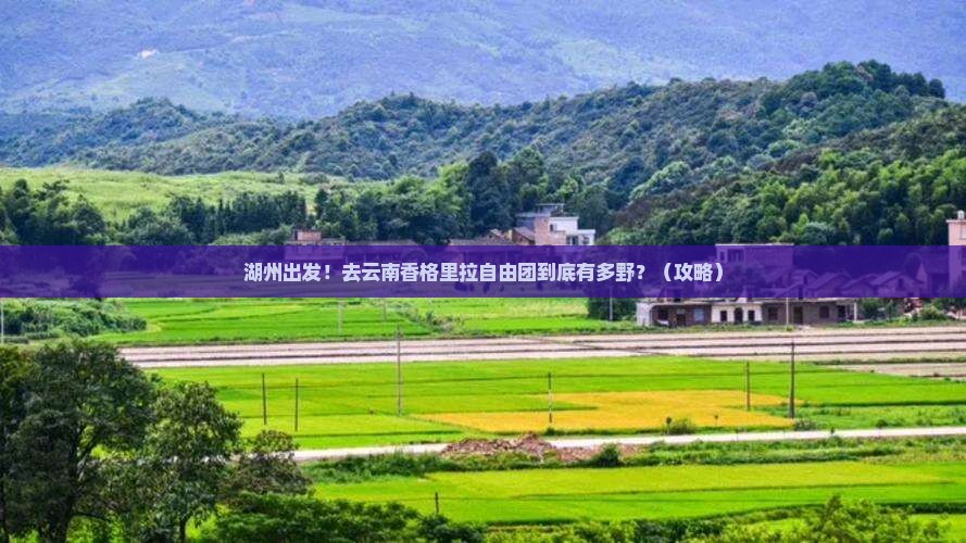 湖州到云南香格里拉自由团