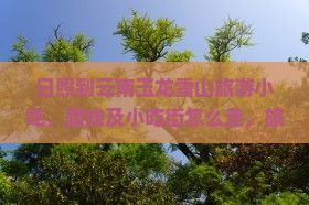 日照到云南玉龙雪山旅游小吃