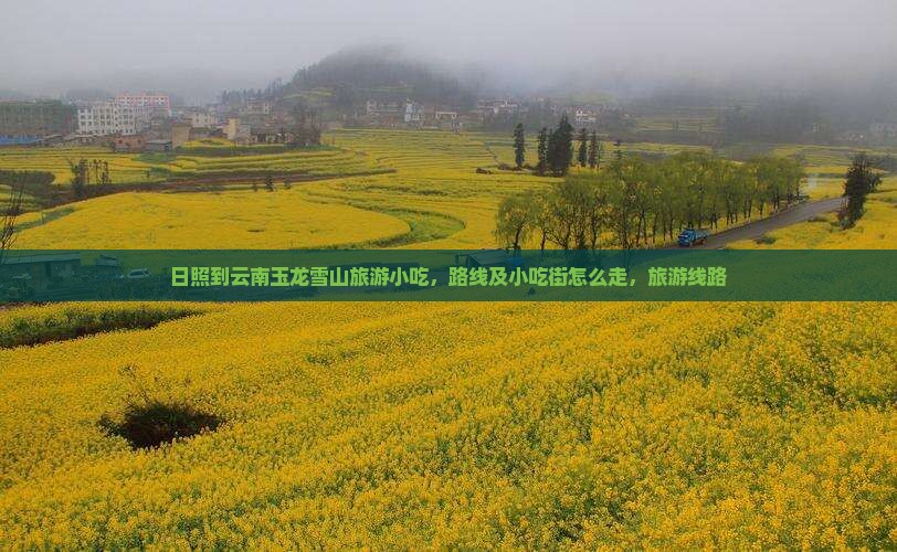 日照到云南玉龙雪山旅游小吃