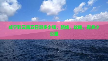 咸宁到云南五日游