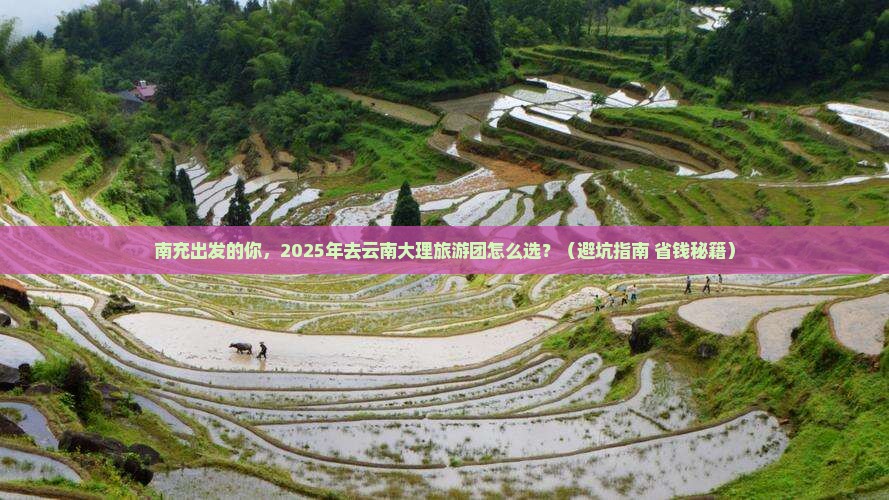 南充到云南大理大型旅游团