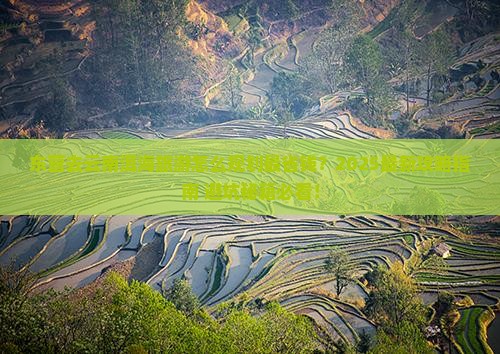 东营到云南洱海旅行社