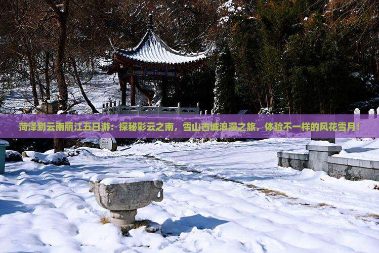 菏泽到云南丽江五日游