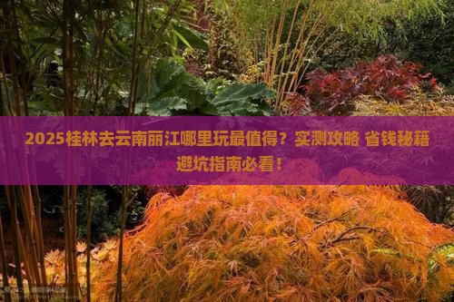 桂林去云南丽江哪里玩
