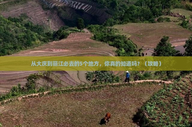 大庆去云南丽江必去地