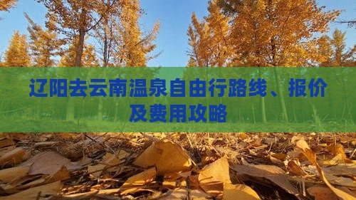 辽阳去云南温泉自由行