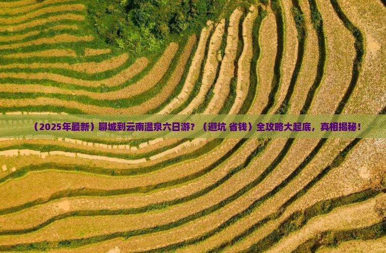 聊城到云南温泉六日游