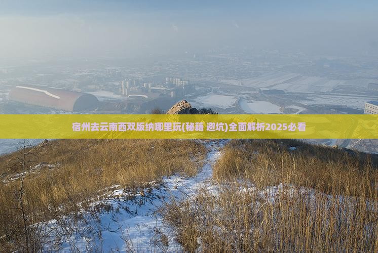 宿州去云南西双版纳哪里玩