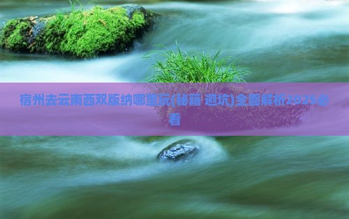 宿州去云南西双版纳哪里玩