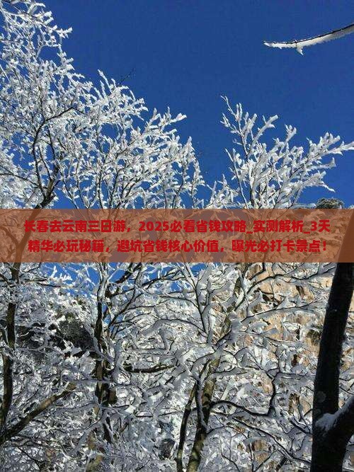 长春去云南三日游