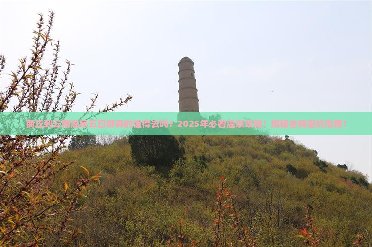 商丘到云南温泉五日游