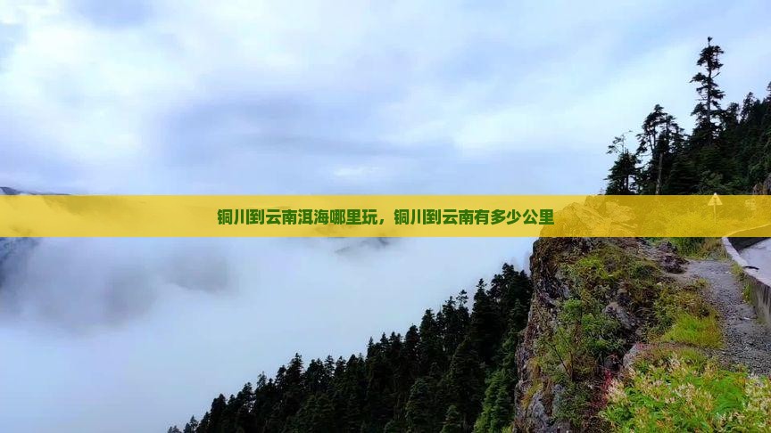 铜川到云南洱海哪里玩