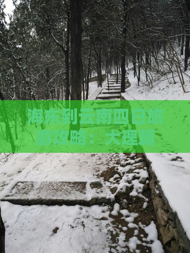 海东到云南四日游