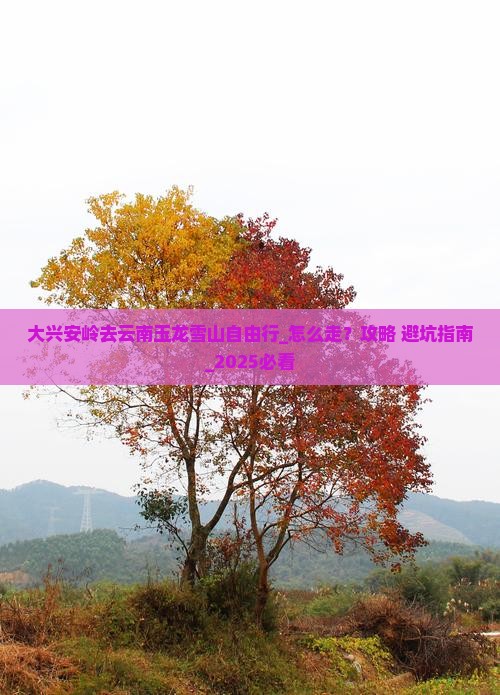 大兴安岭去云南玉龙雪山自由行