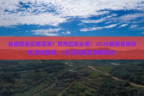 贺州到云南洱海自由团