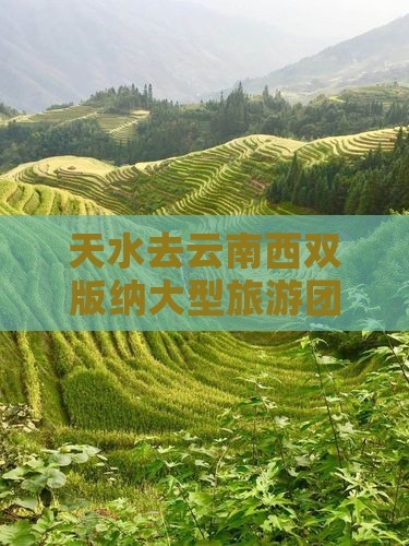 天水去云南西双版纳大型旅游团