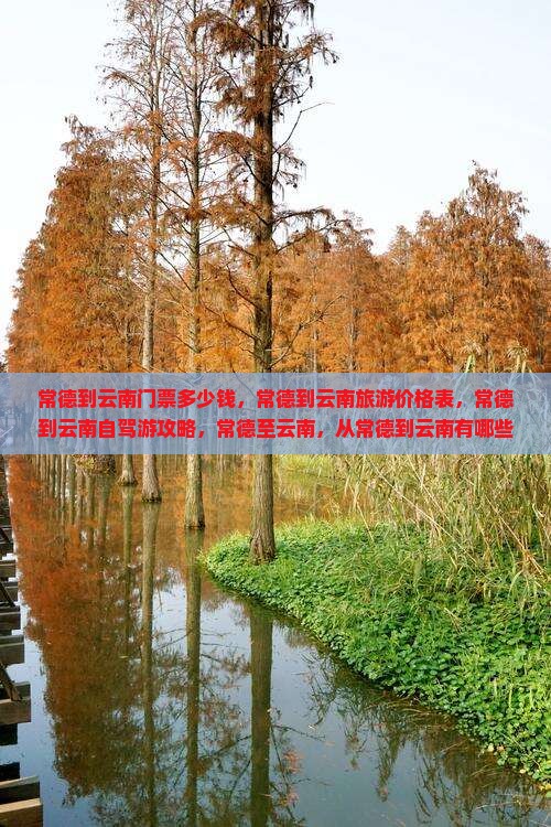 常德到云南门票 常德到云南门票