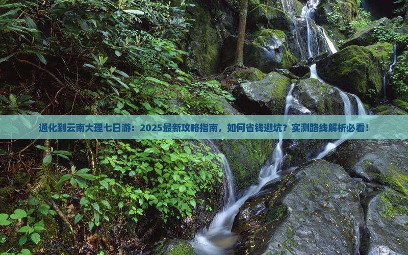通化到云南大理七日游