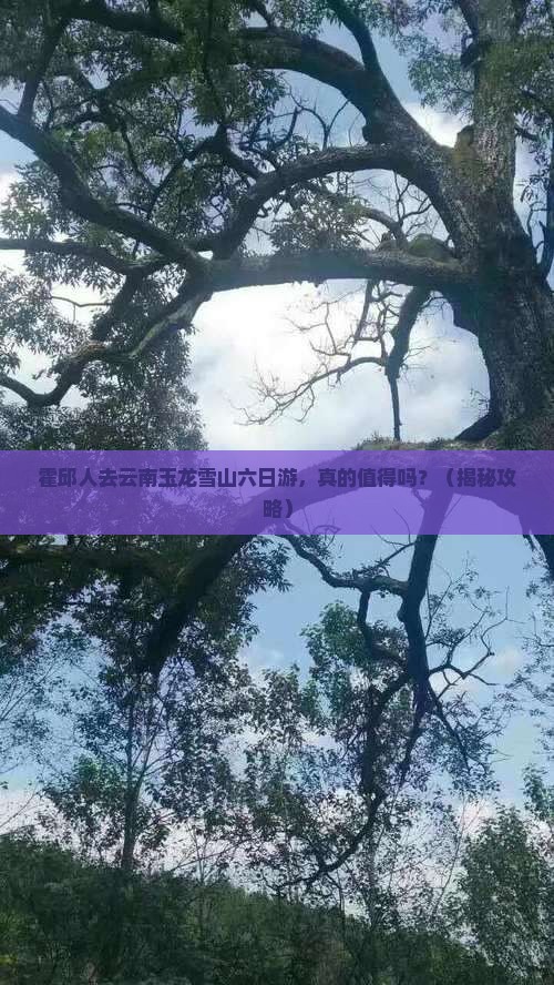 霍邱去云南玉龙雪山六日游