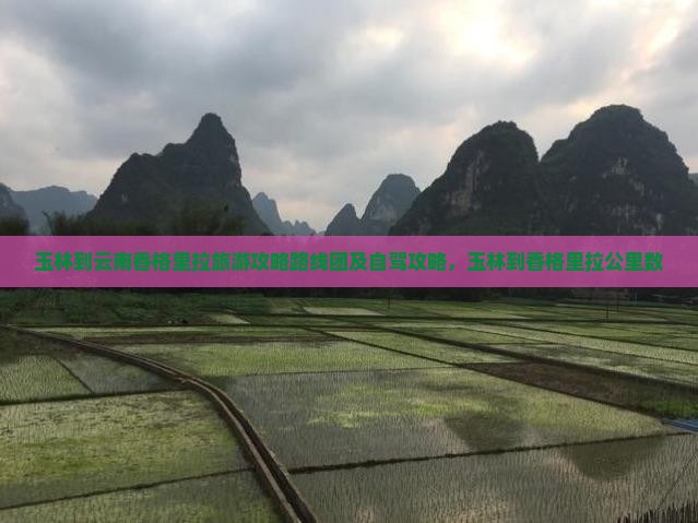 玉林到云南香格里拉旅游