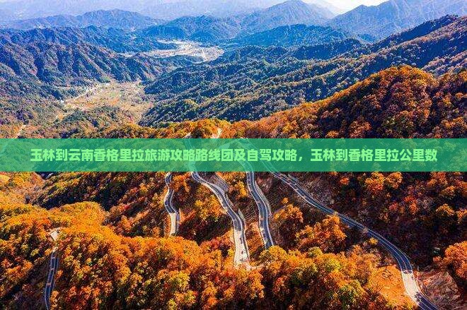 玉林到云南香格里拉旅游